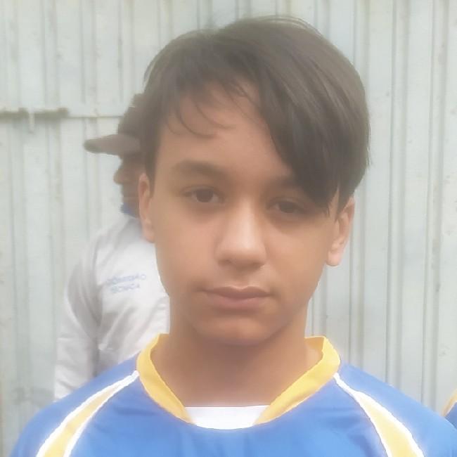 JOAO PEDRO ARAÚJO DA SILVA