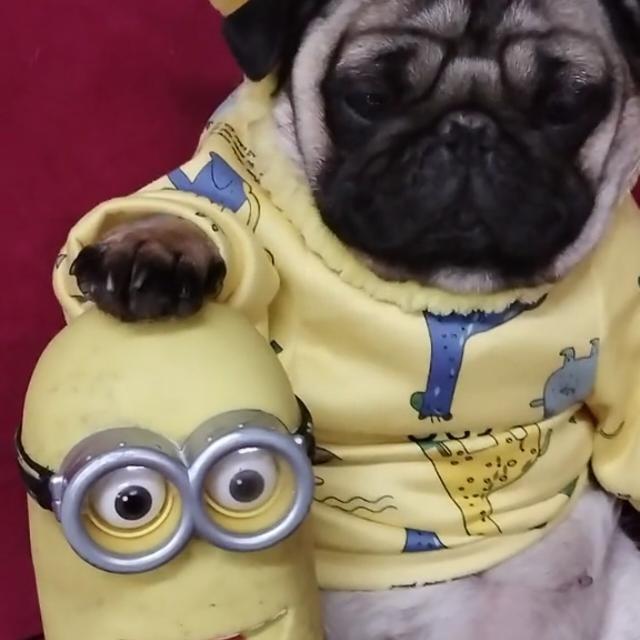 Pugnaldos