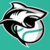 Miami Sharks