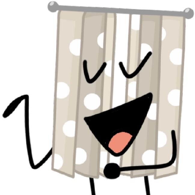 Curtain