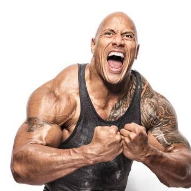 THE ROCK 🔥🔥🔥