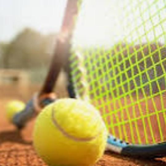 Federación Vilafranquina de Tenis