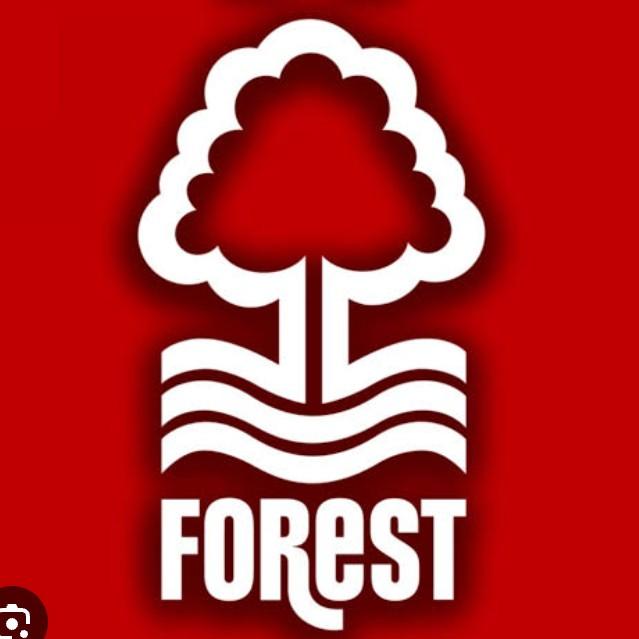 nottingham forest