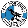 Corvinul Hunedoara