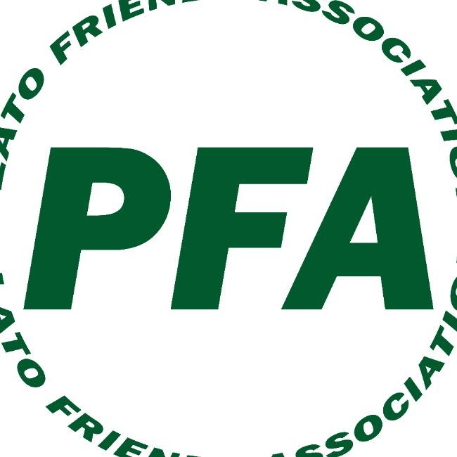 PFA Чемпионат 1 на 1 | Сезон 1