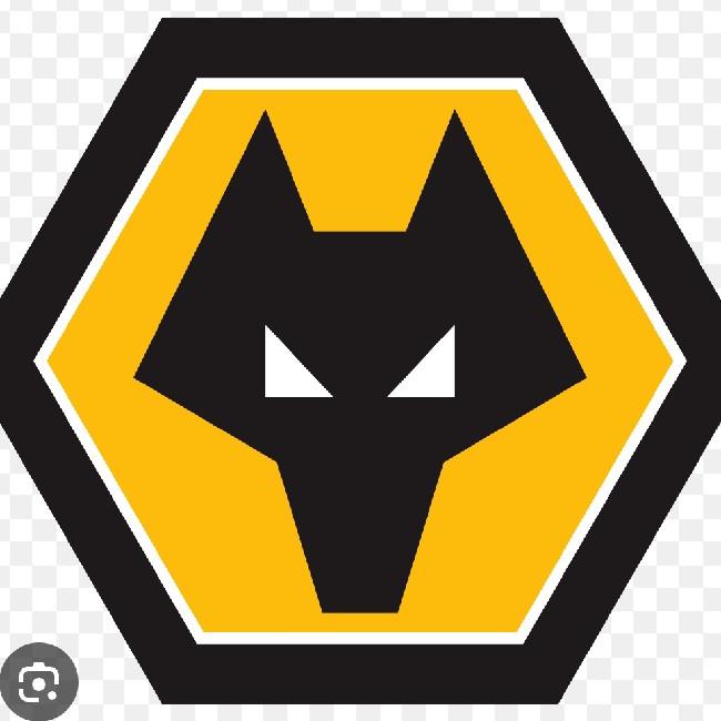 Wolves (Vangi 🕴🏾)