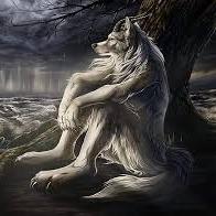 Lobos Solitarios