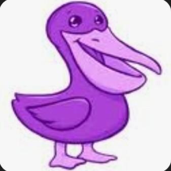 Purple Pelicans