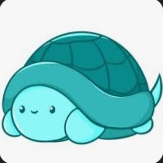 Teal Turtles