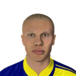 Erling Haaland
