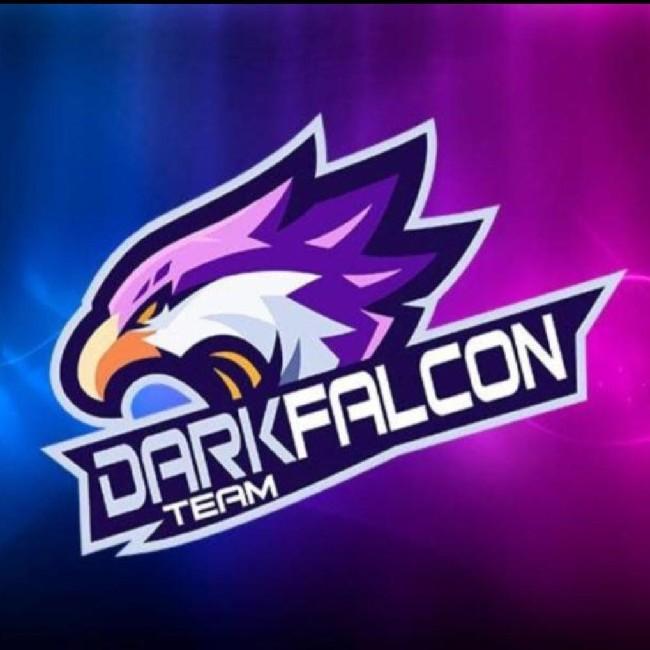 DARK FALCON EVOLUTION