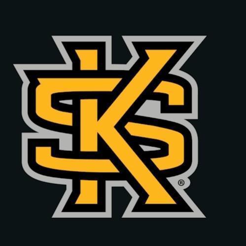 KENNESAW STATE OWLS