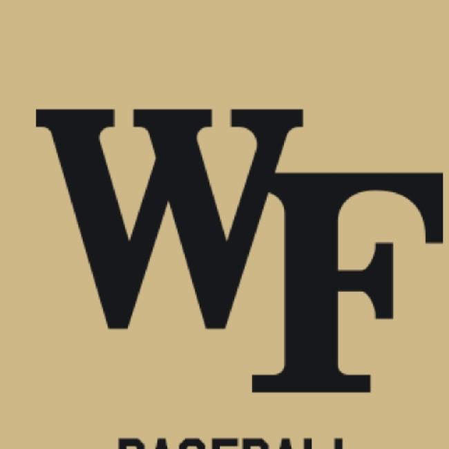 WAKE FOREST DEMON DEACONS