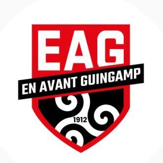 En Avant Gingamp