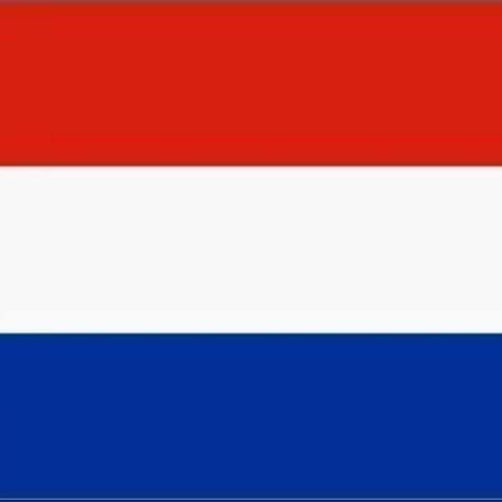 Holanda 2010