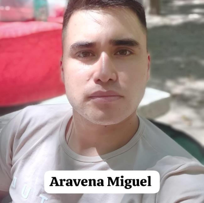 Aravena Miguel