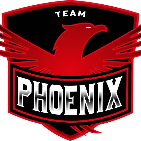 TEAM PHOENIX