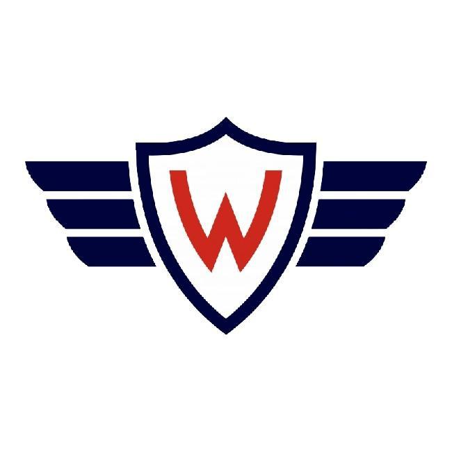 🇧🇴 C.D. Jorge Wilstermann