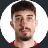 🇭🇷 Š. Vrsaljko