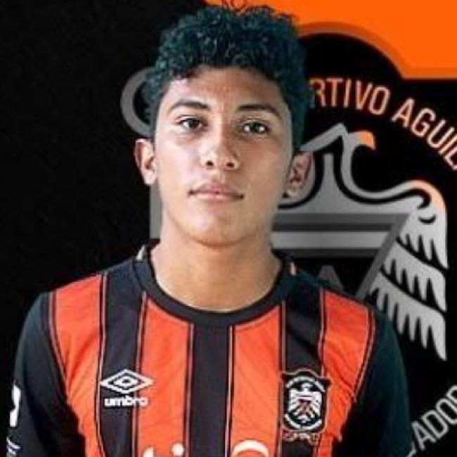 Walter Israel Pineda Vásquez