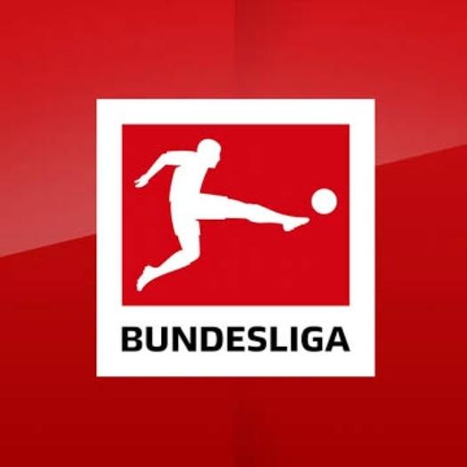 Bundesliga 24/25