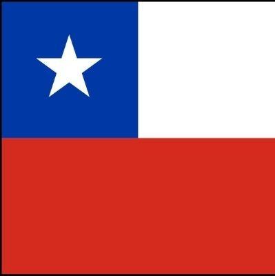 Pedro Jr [Chile]