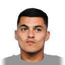 N. Radonjic