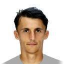 A. Budimir