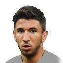 M. Grujic