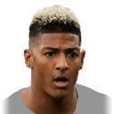 P. Van Aanholt