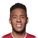 C. Tolisso