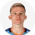 M. Ilenic