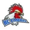 HC Tábor