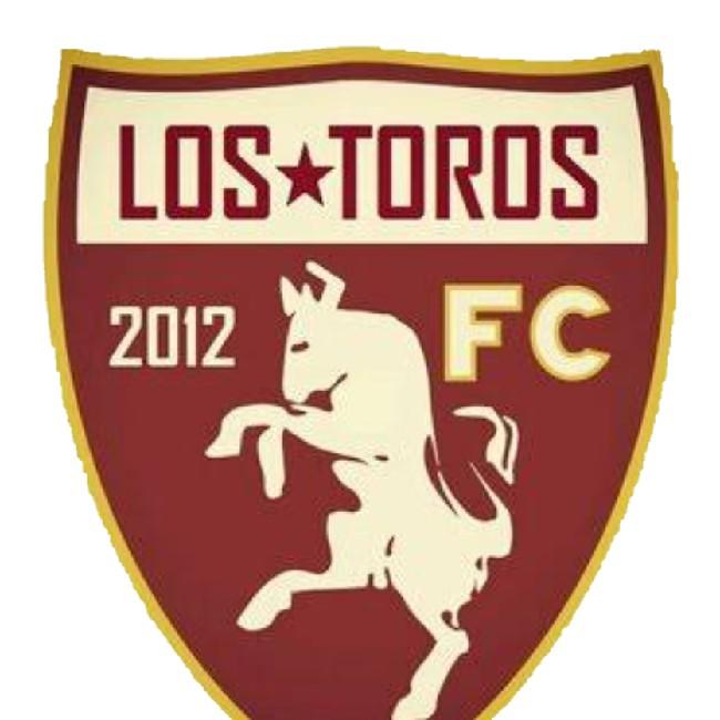 Toros