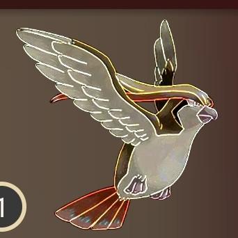 Pidgeot