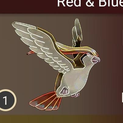 Pidgeot