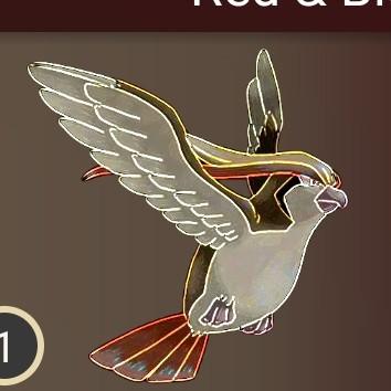 Pidgeot
