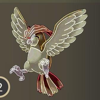 Pidgeotto