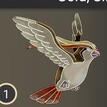 Pidgeot