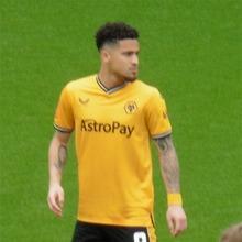 Joao Gomes