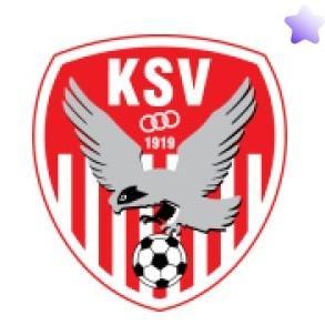 Kapfenberger S.V