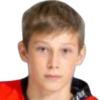 M. Veselý