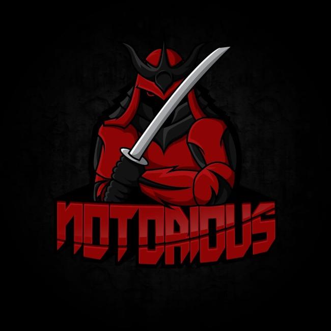 Notorious Ninjas