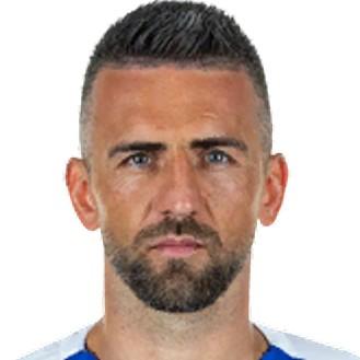 🇧🇦 V. Ibišević