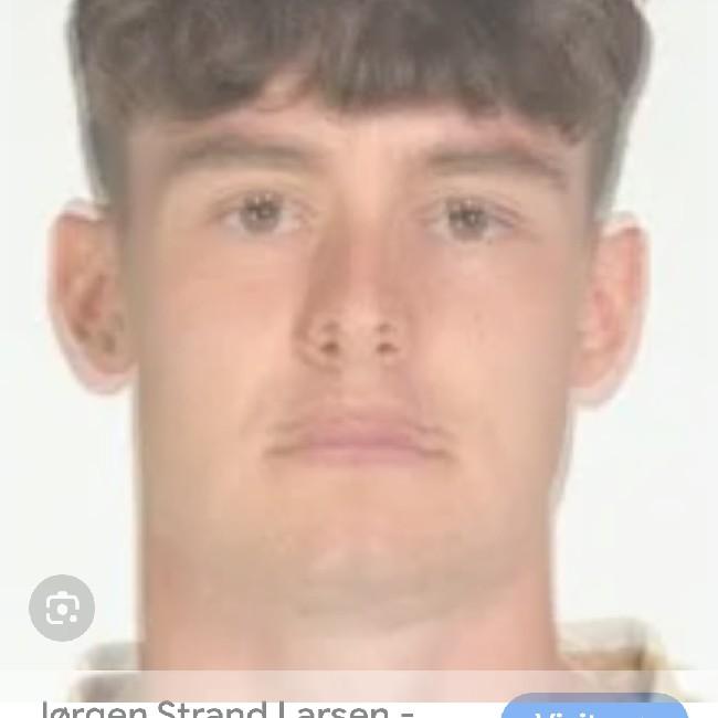 Larsen