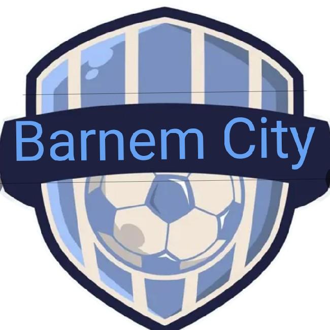 Barnem City