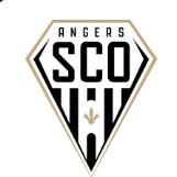 Angers