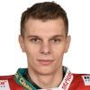 M. Michajlov