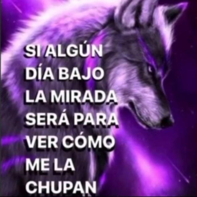 Lobo filosófico