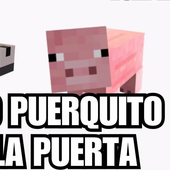 Puerquito puerquito